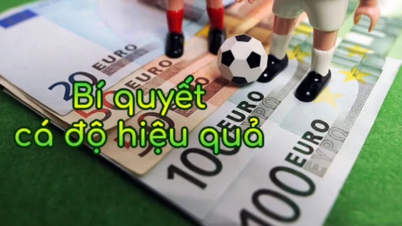 Bí quyết soi kèo hiệu quả