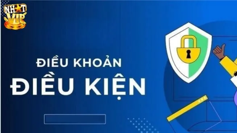 Điều kiện, điều khoản Nhatvip