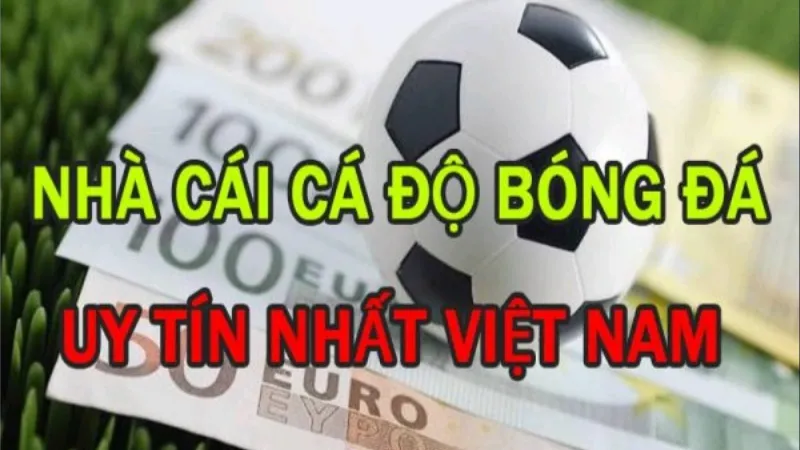 Trang cá độ bóng đá uy tín