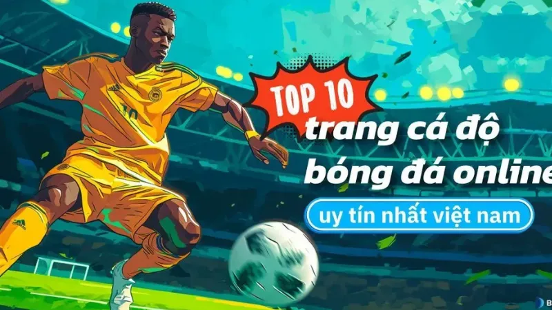 Trang cá độ bóng đá uy tín