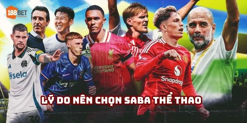 Lý do nên chọn Saba